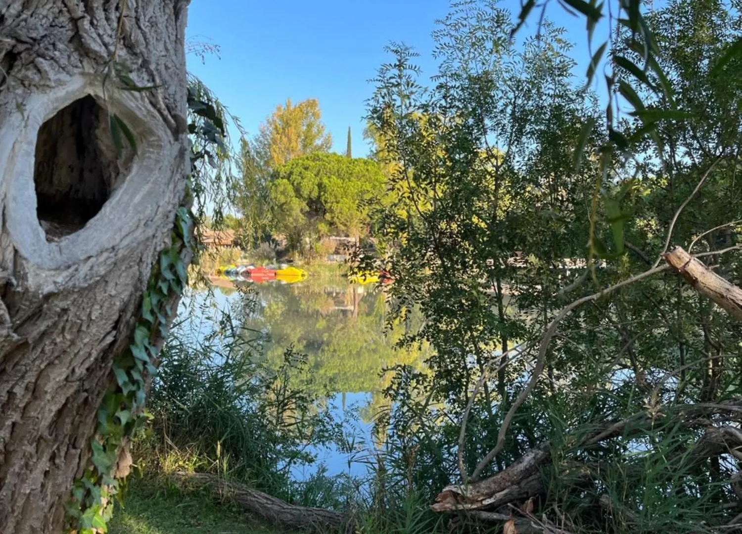 Apartmán Arles Camargue